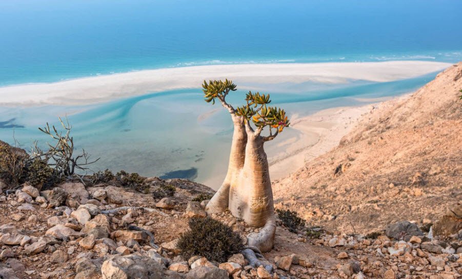 Socotra, Yemen